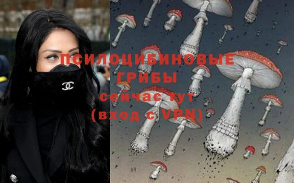 мет Абаза