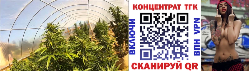 ТГК жижа  Электроугли 