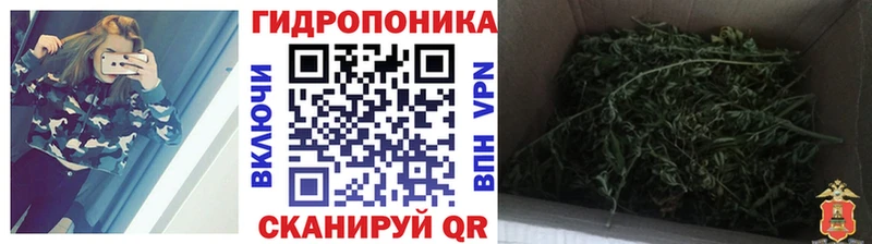 Бошки марихуана AK-47  Электроугли 